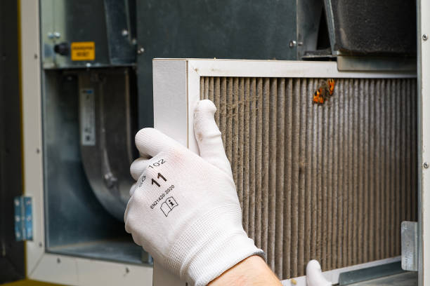 Best Affordable Duct Cleaning Services  in Hardwick, GA
